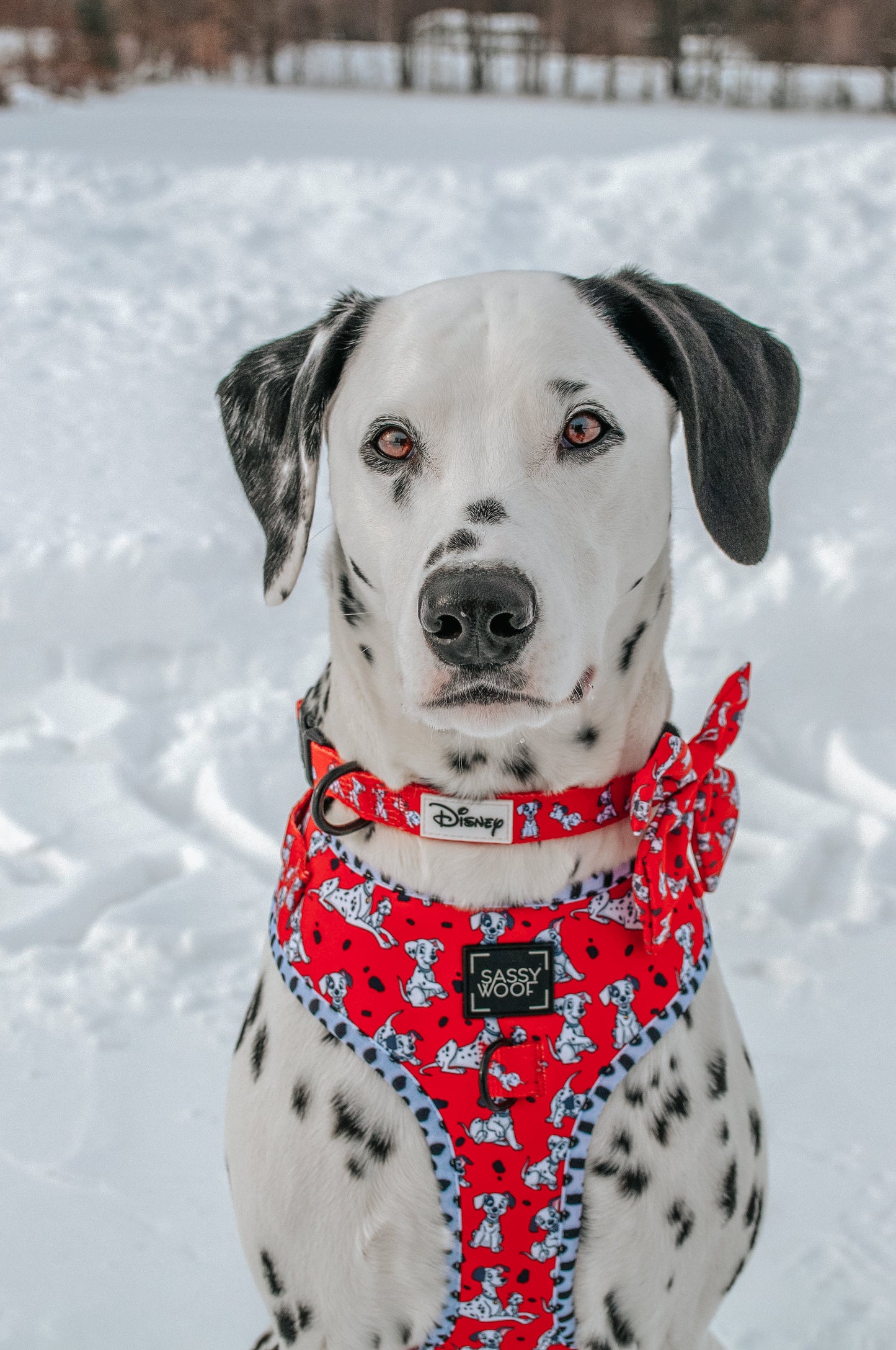 Dog Four Piece Bundle - Disney's 101 Dalmatians