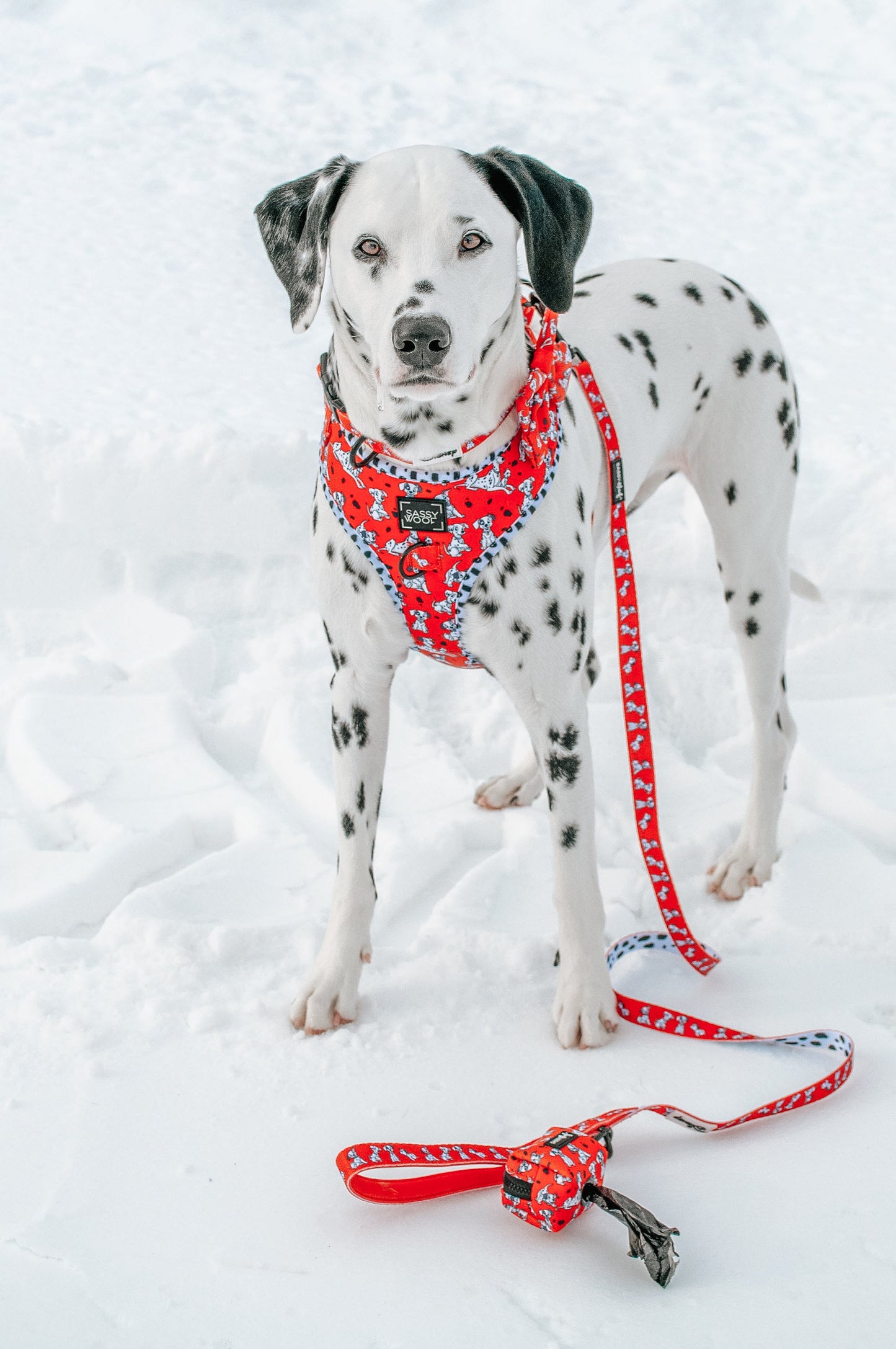 Dog Leash - Disney's 101 Dalmatians