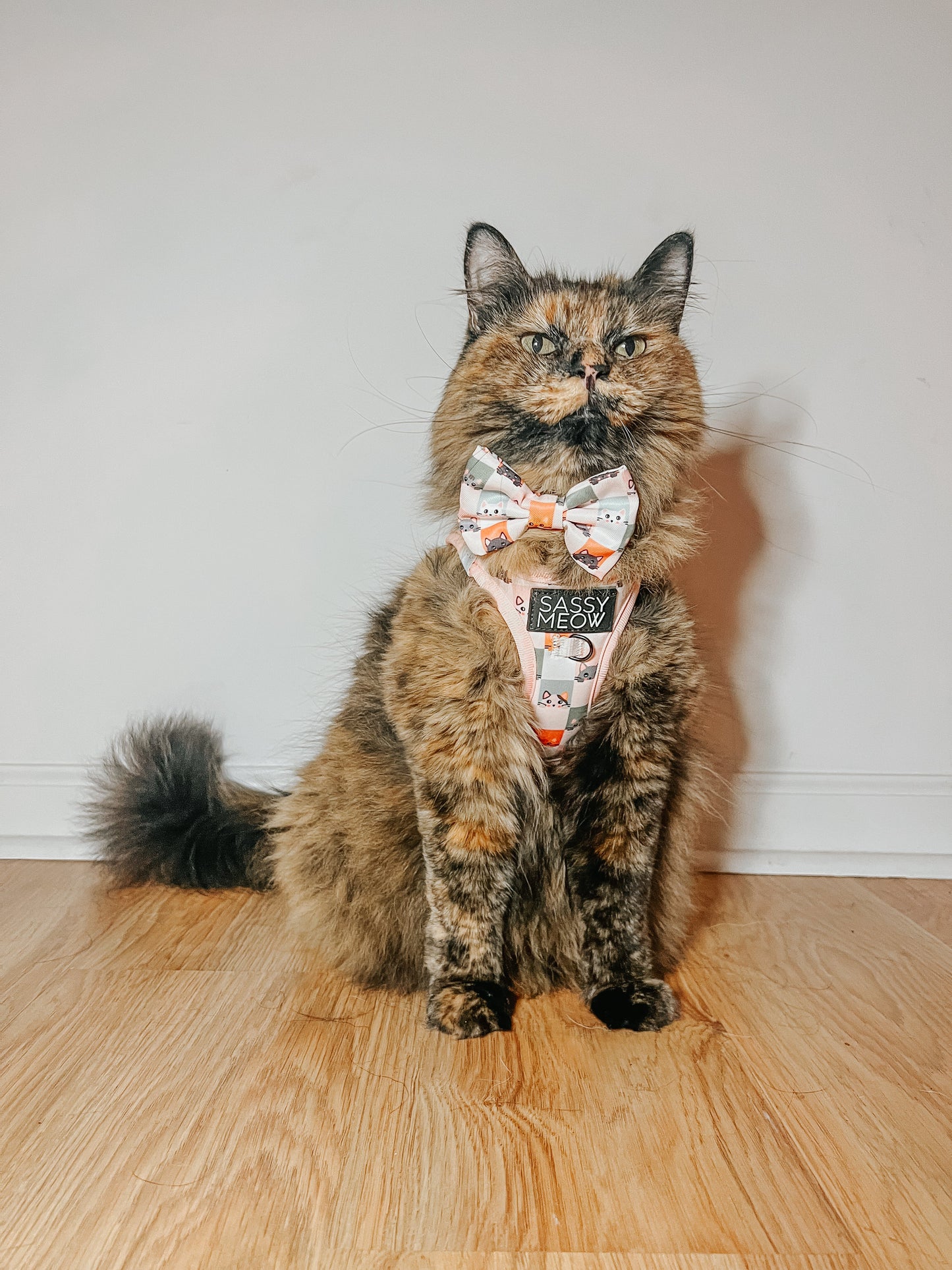 Cat Bowtie - Smitten Kittens