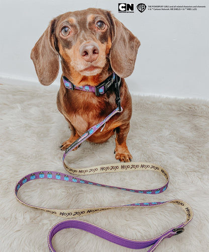Dog Leash - Mojo Jojo™