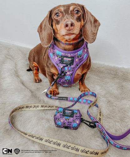 Dog Two Piece Bundle -  Mojo Jojo™