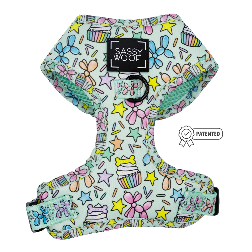 Dog Four Piece Bundle - Pup Pup Hooray
