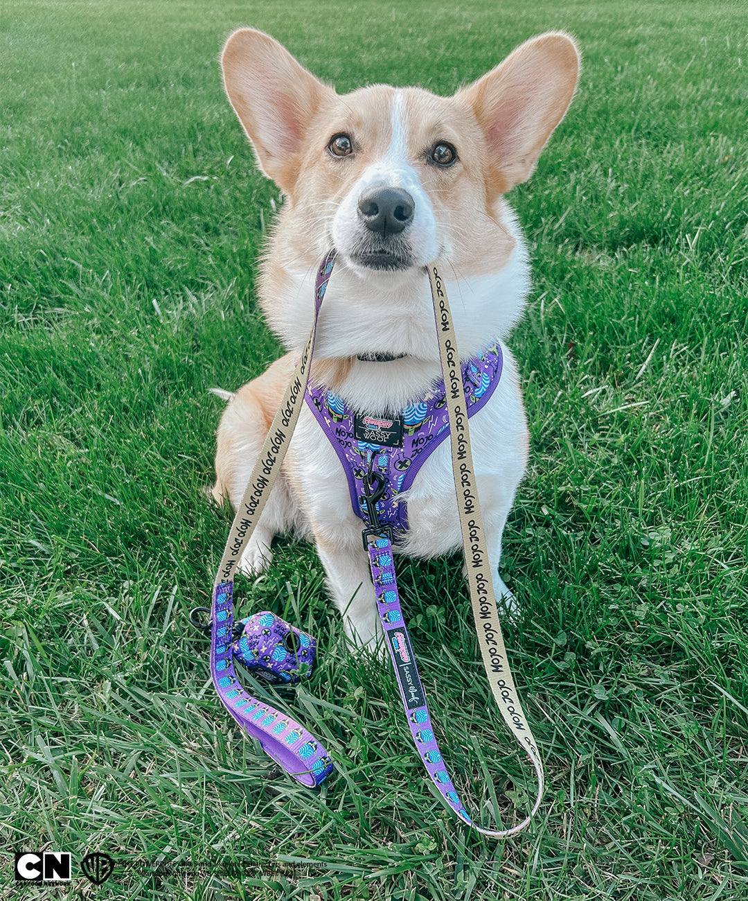 Dog Two Piece Bundle -  Mojo Jojo™
