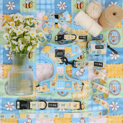 Dog Four Piece Bundle - Patch Perfect