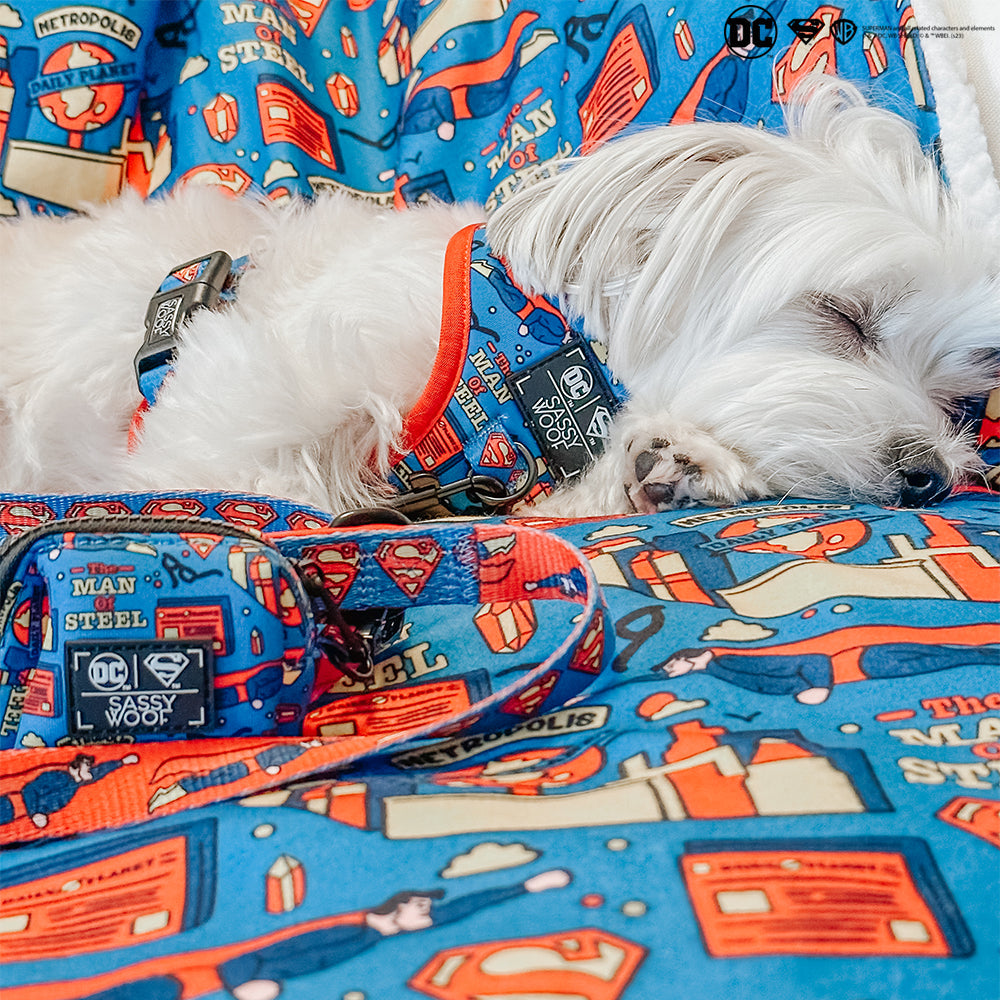 Pet Blanket - Superman™