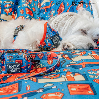 Pet Blanket - Superman™