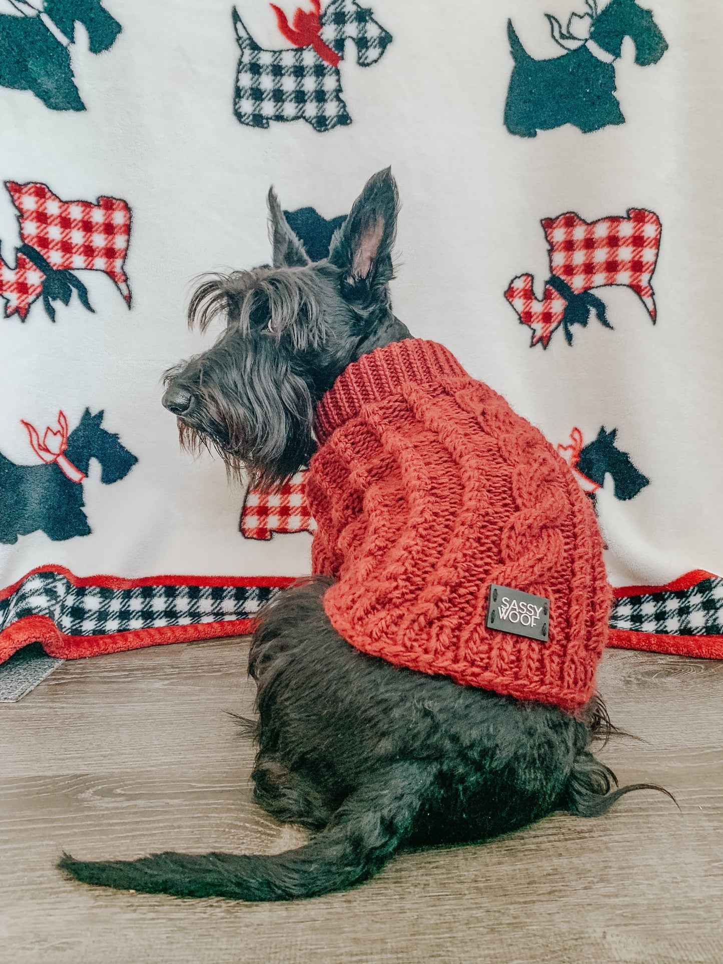 Pet Cable Knit Sweater - Red