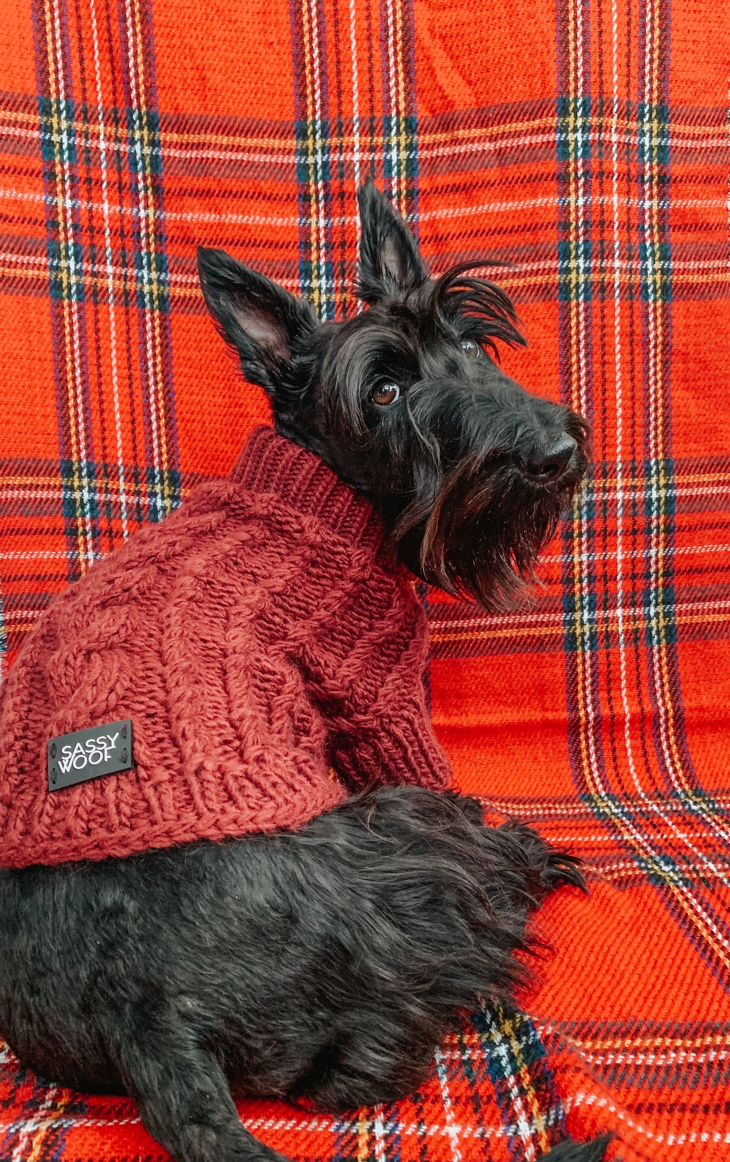 Pet Cable Knit Sweater - Red