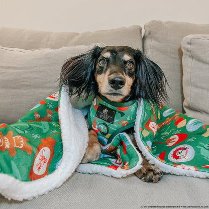 Pet Blanket - Elf™