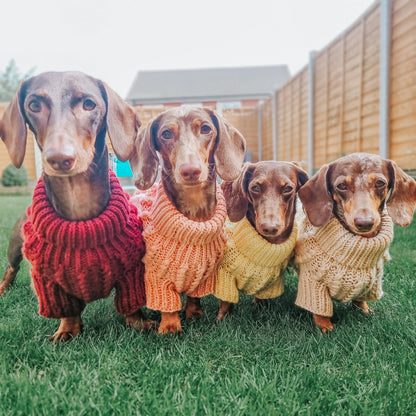 Pet Cable Knit Sweater - Red