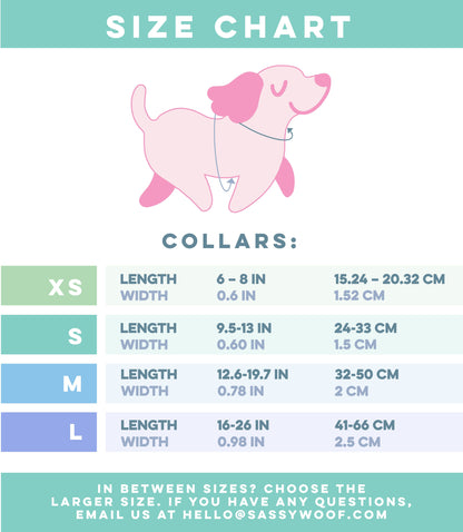 Dog Collar Three Piece Bundle - Disney and Pixar's Up