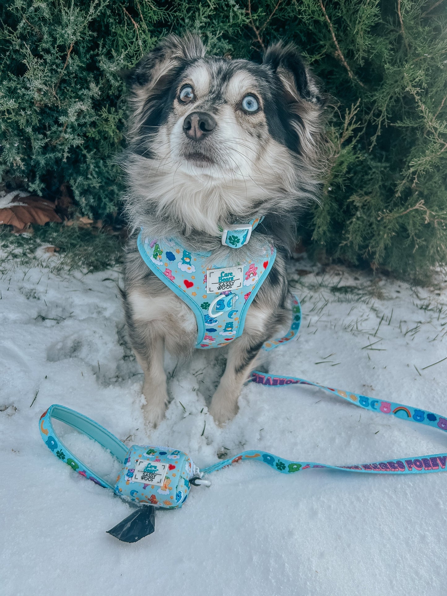 Dog Leash - Care Bears™ Care-a-Lot