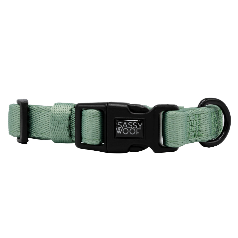 Dog Collar Three Piece Bundle - Sage