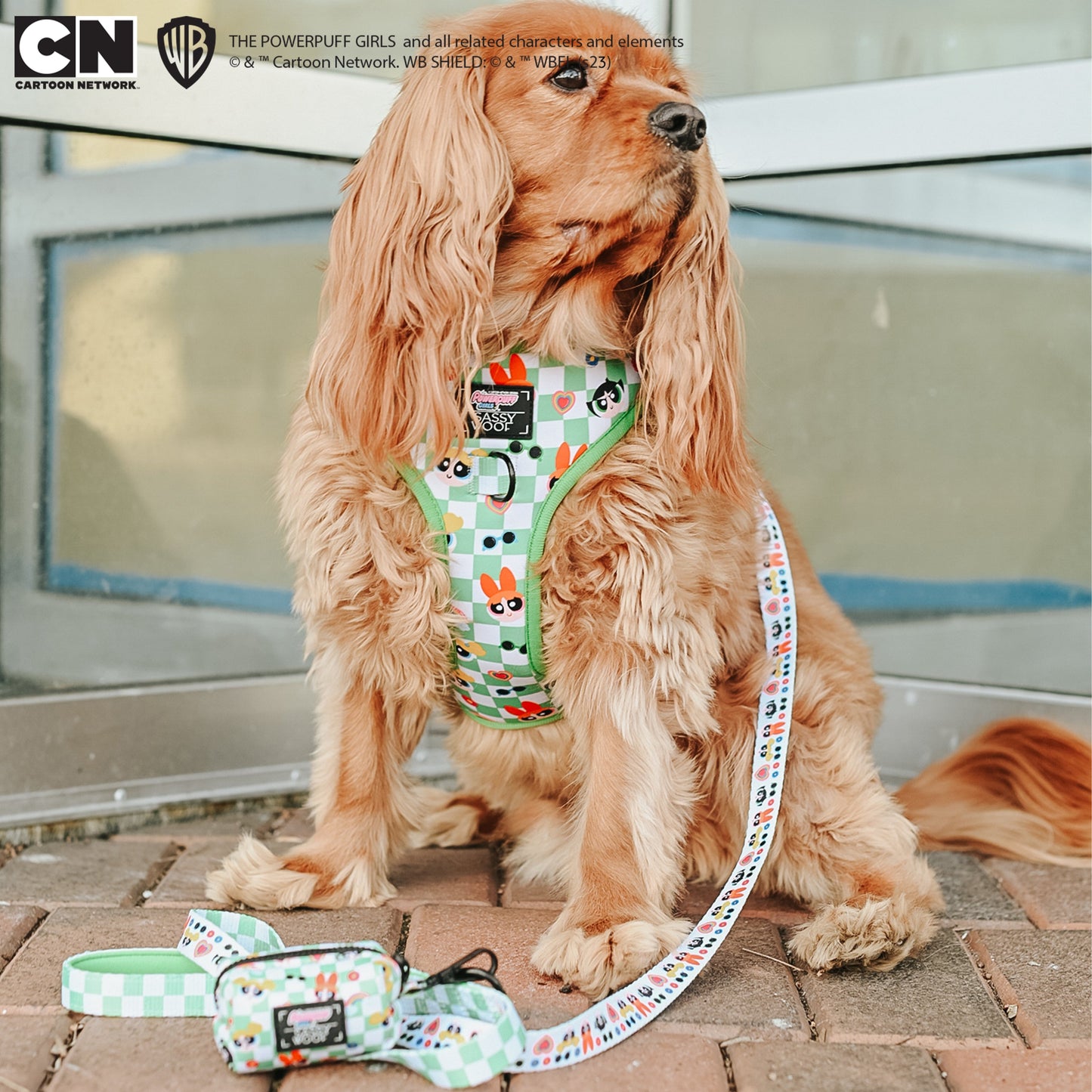 Dog Waste Bag Holder - The Powerpuff Girls™ (Green)