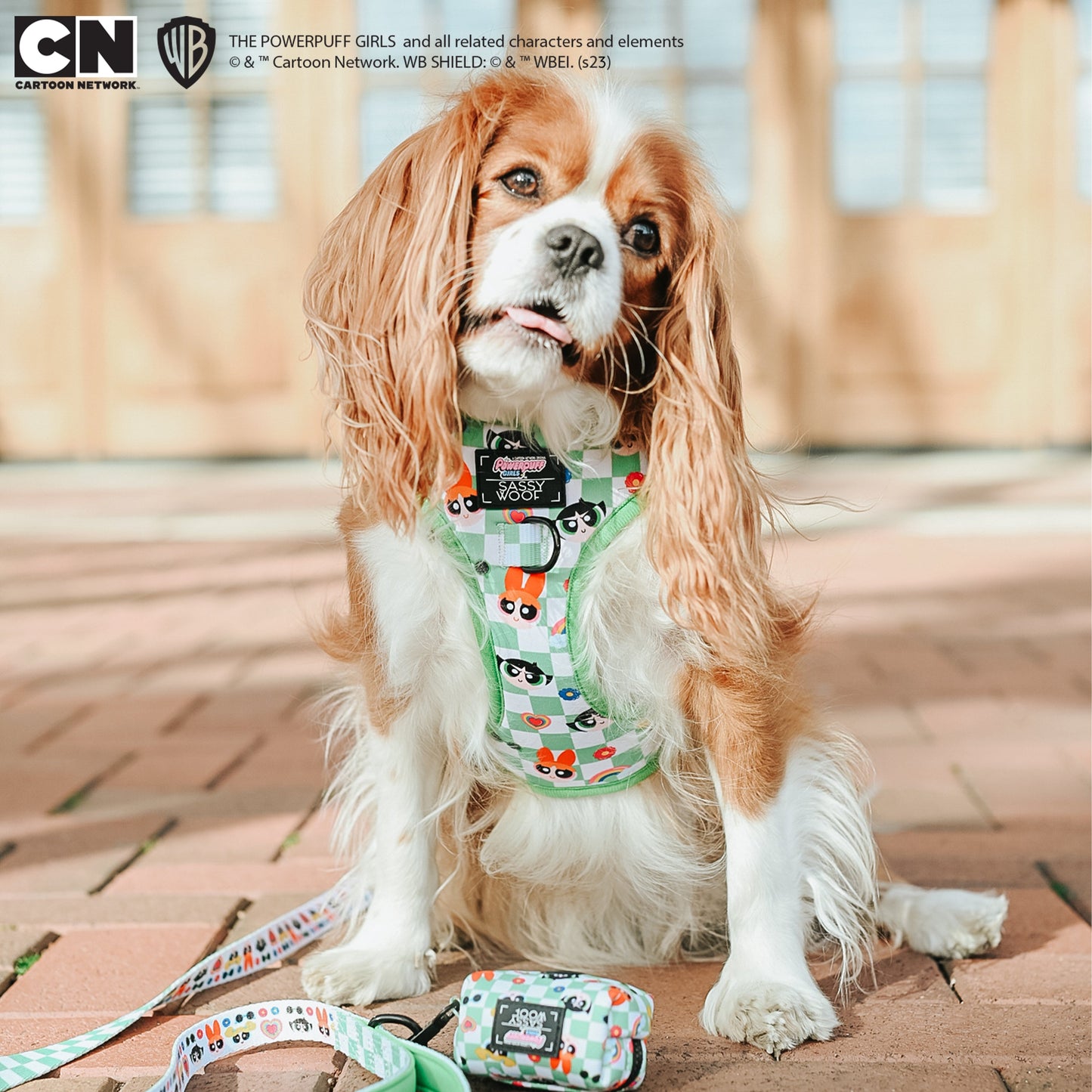 Dog Waste Bag Holder - The Powerpuff Girls™ (Green)