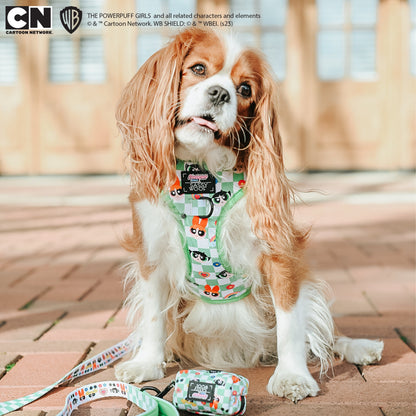 Dog Waste Bag Holder - The Powerpuff Girls™ (Green)