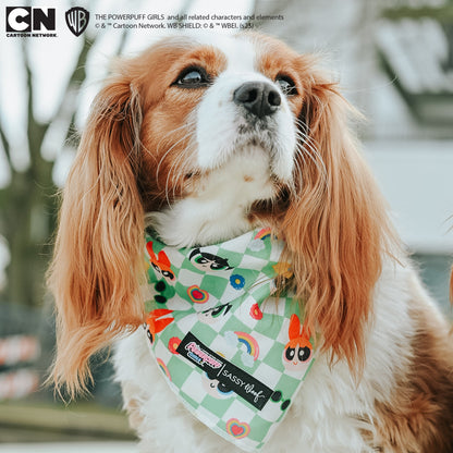 Dog Bandana - The Powerpuff Girls™ (Green)