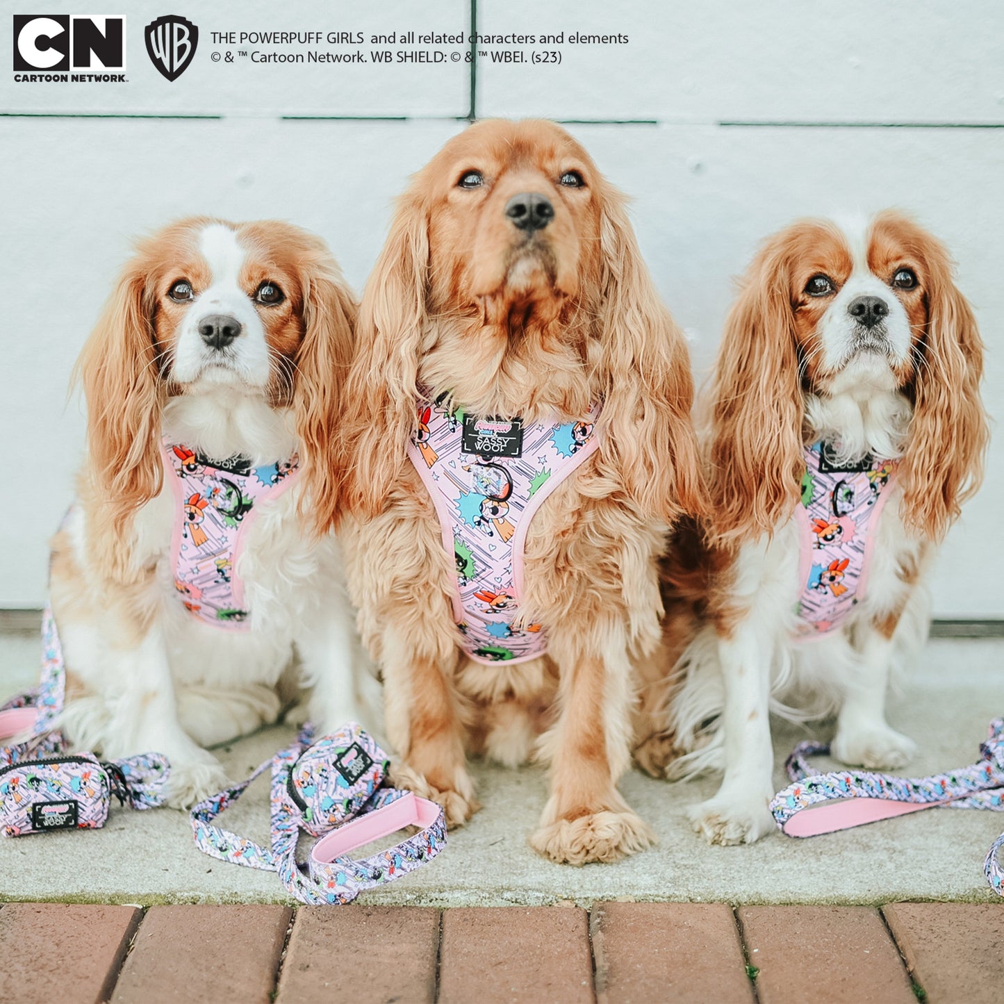 Dog Two Piece Bundle -  The Powerpuff Girls™ (Pink)