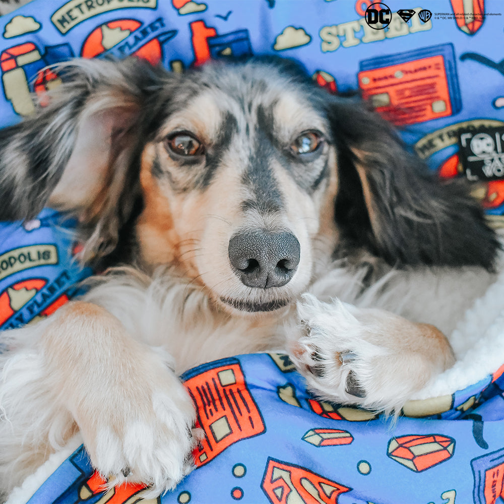Pet Blanket - Superman™