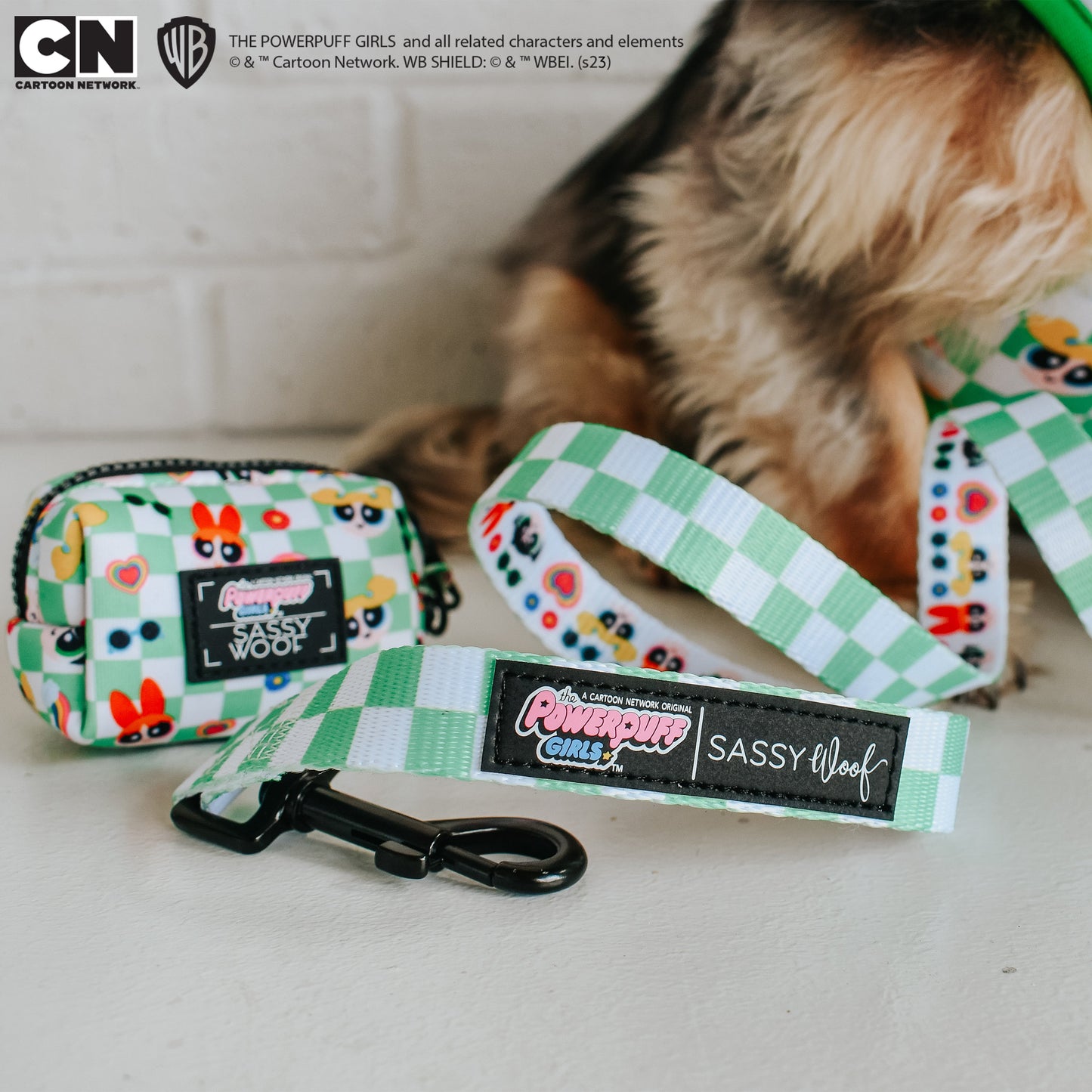 Dog Waste Bag Holder - The Powerpuff Girls™ (Green)