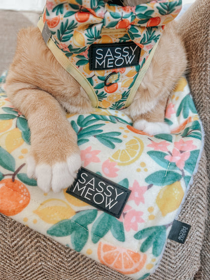 Cat Bowtie - Zest Friends