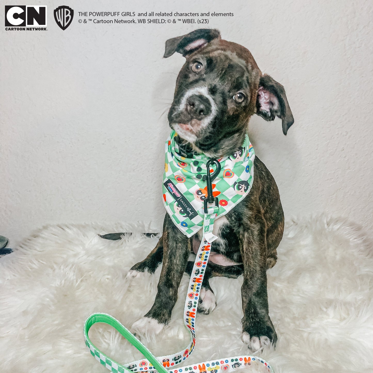 Dog Bandana - The Powerpuff Girls™ (Green)