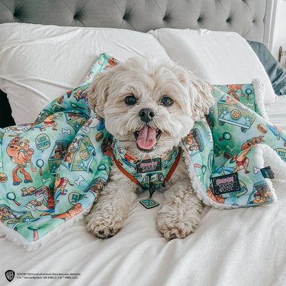 Pet Blanket - Scooby-Doo™