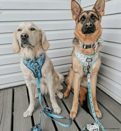 Dog Collar - STAR WARS™ The Child™