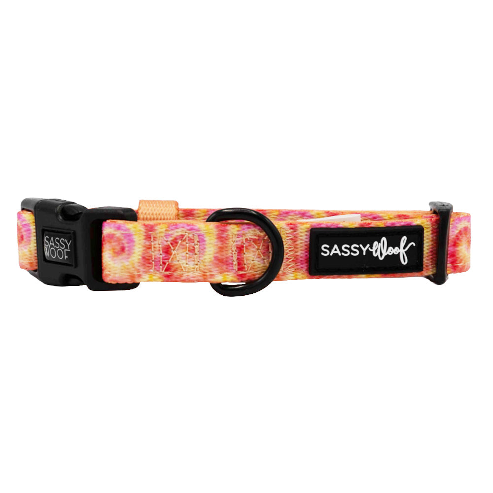 Dog Collar - Summer Sorbet