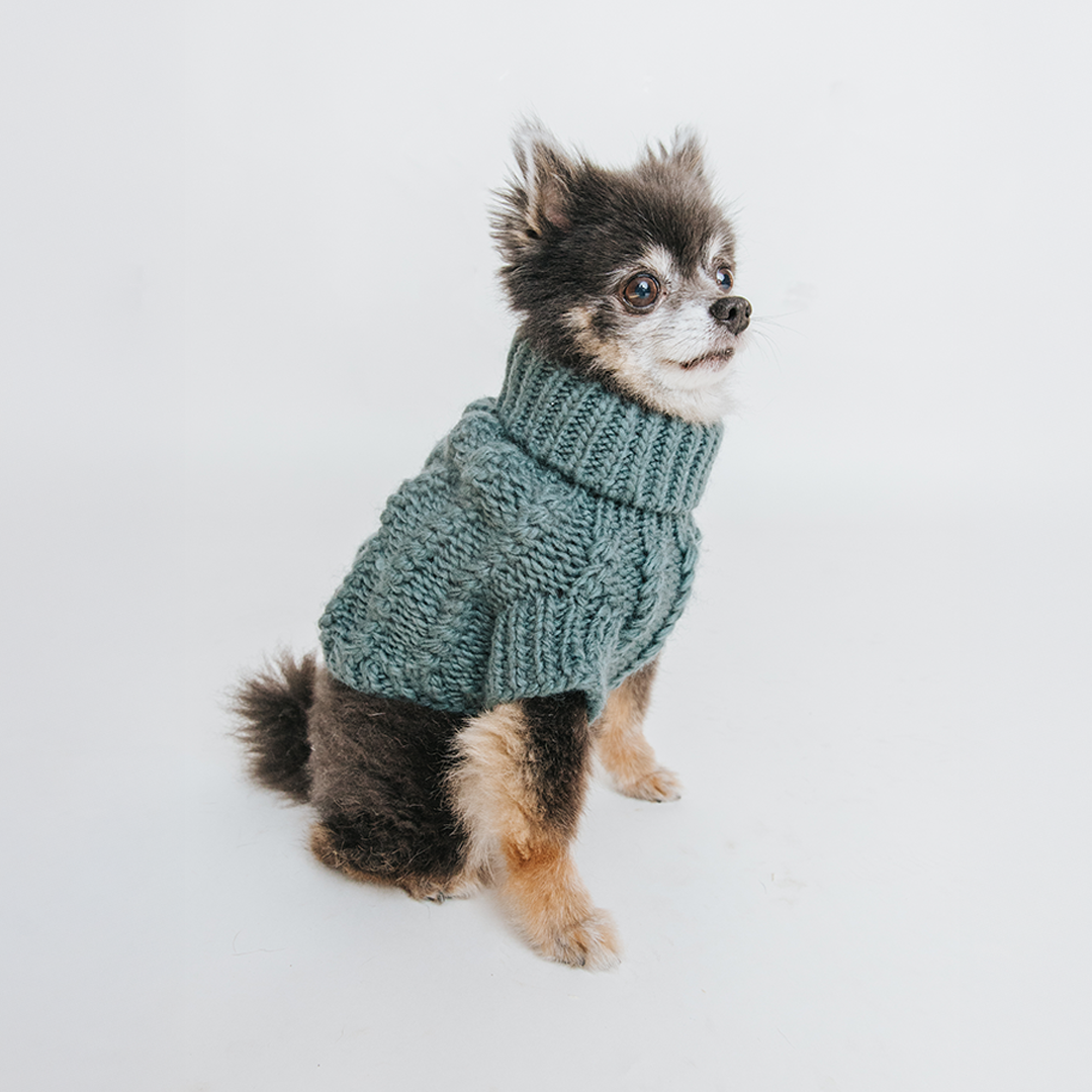 Pet Cable Knit Sweater - Teal