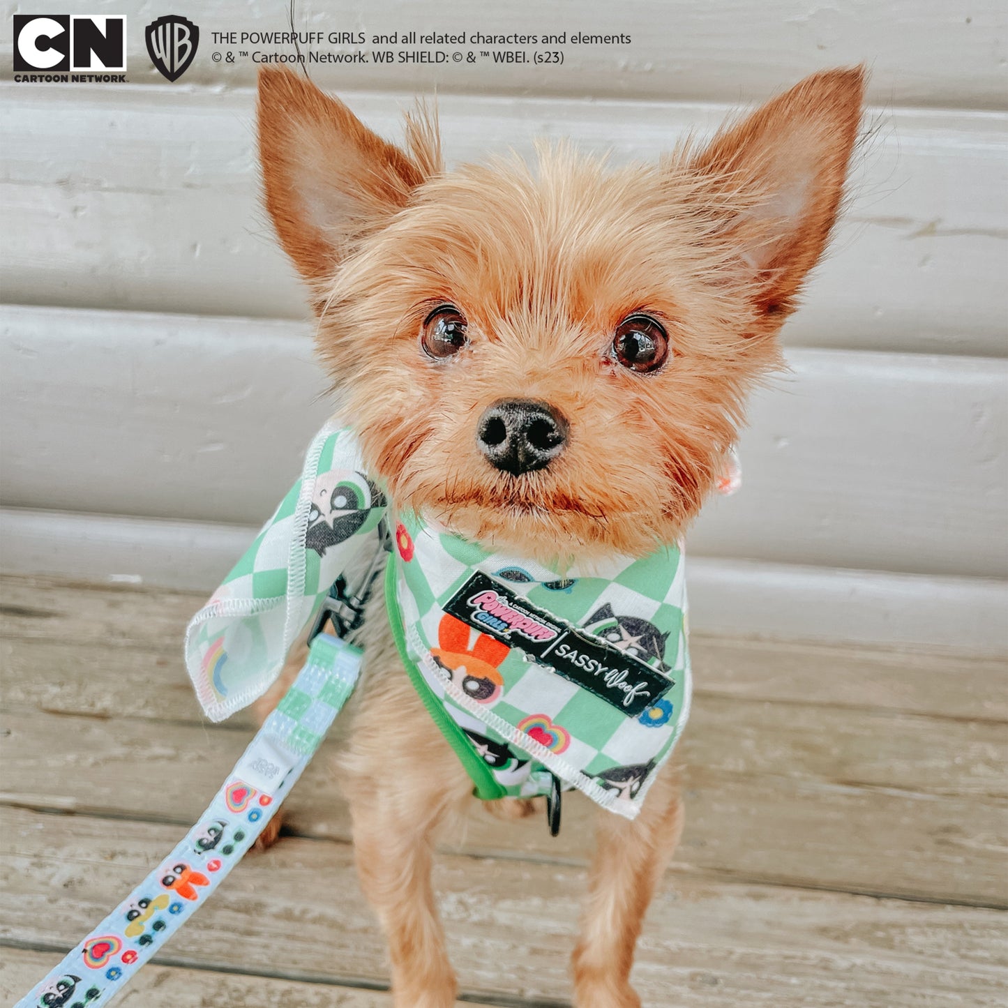 Dog Bandana - The Powerpuff Girls™ (Green)