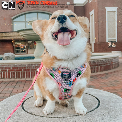Dog Adjustable Harness - The Powerpuff Girls™ (Pink)