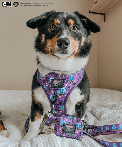 Dog Leash - Mojo Jojo™