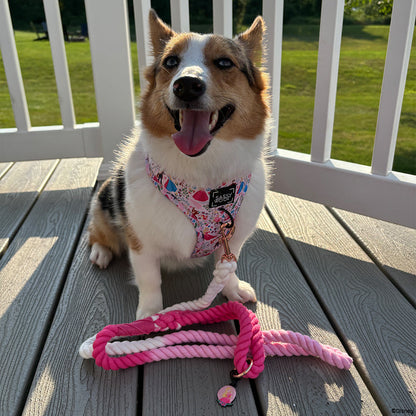 Dog Rope Leash - Disney's Aurora