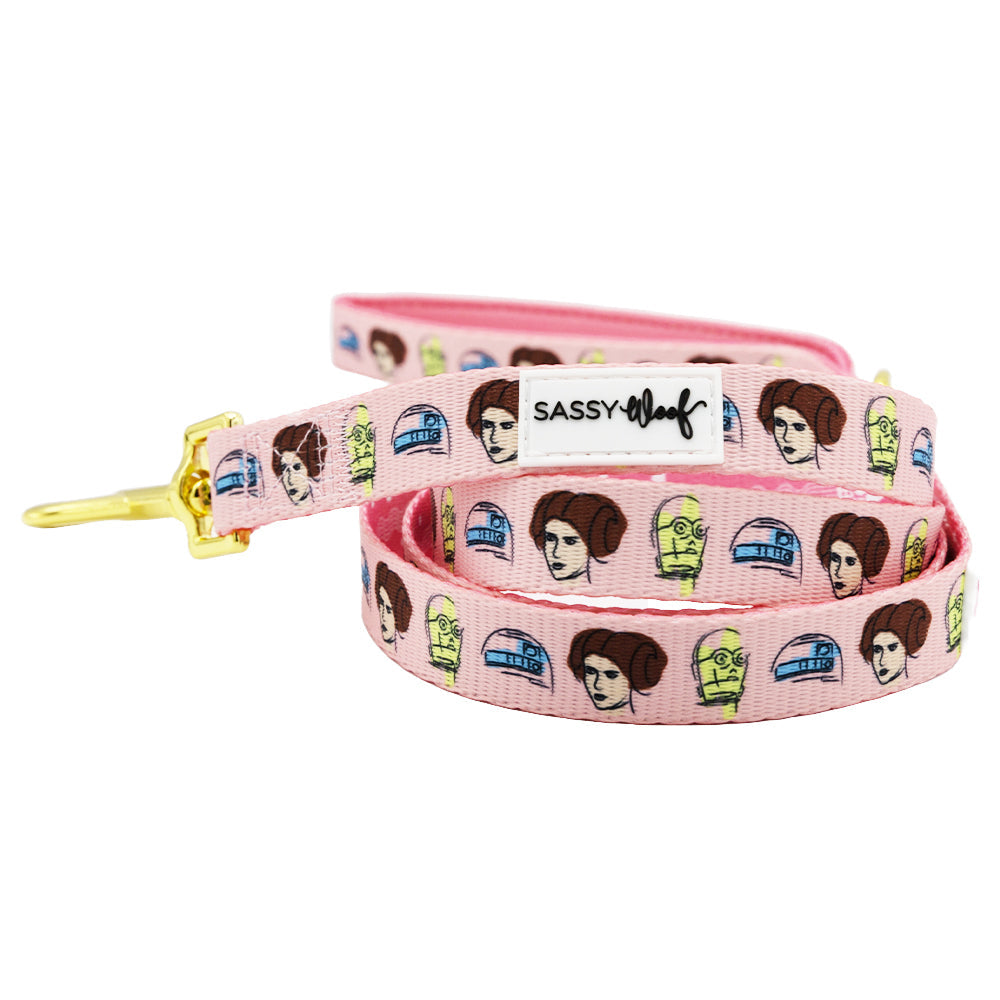 Dog Three Piece Bundle - STAR WARS™ Princess Leia