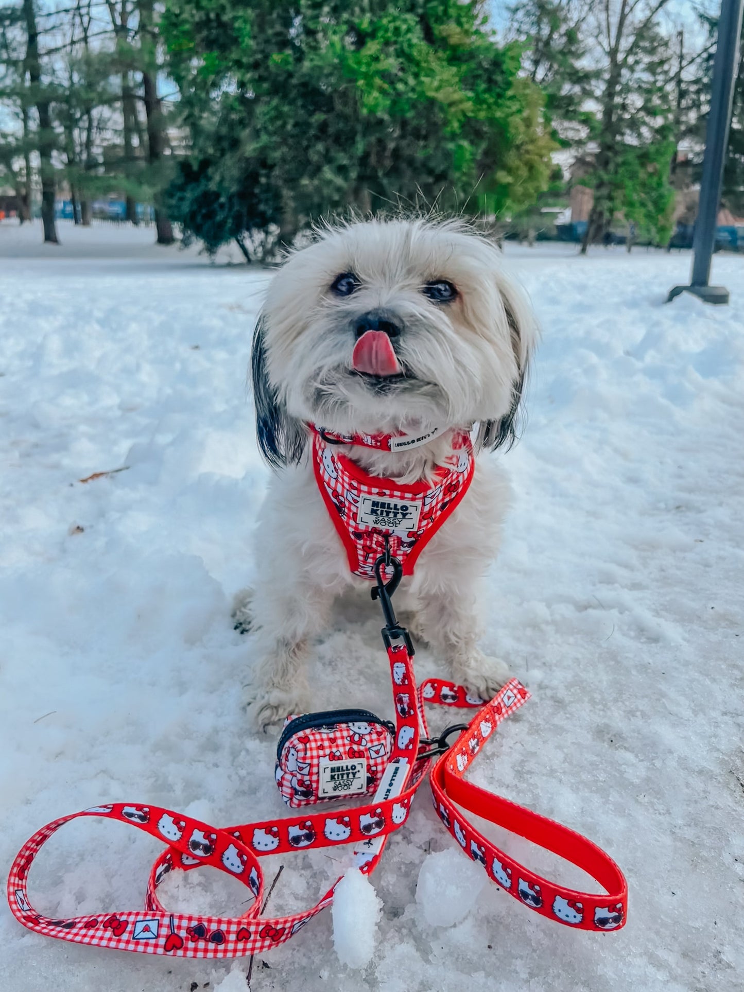 Dog Four Piece Bundle - Hello Kitty® Red Classic