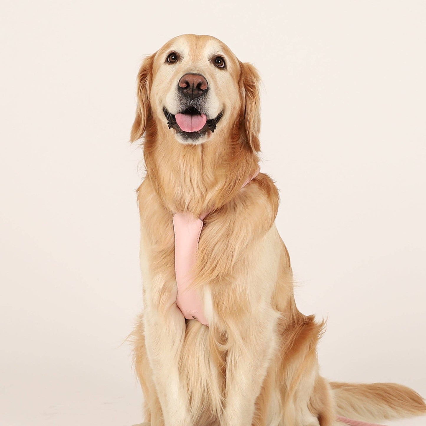 Hozi - Essential Harness - Pink