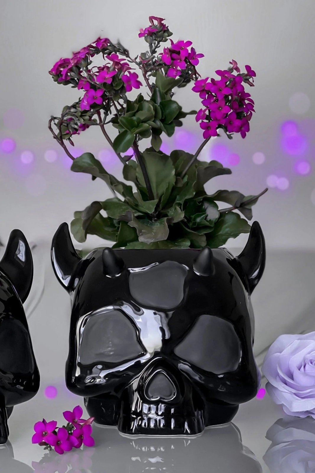 Ashmedai Planter