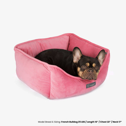 Nandog Pet Gear - Signature Bed in Electric Pink