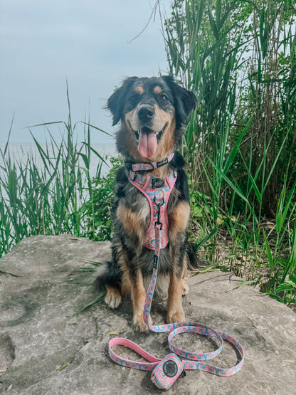 Dog Leash - Good Vibes