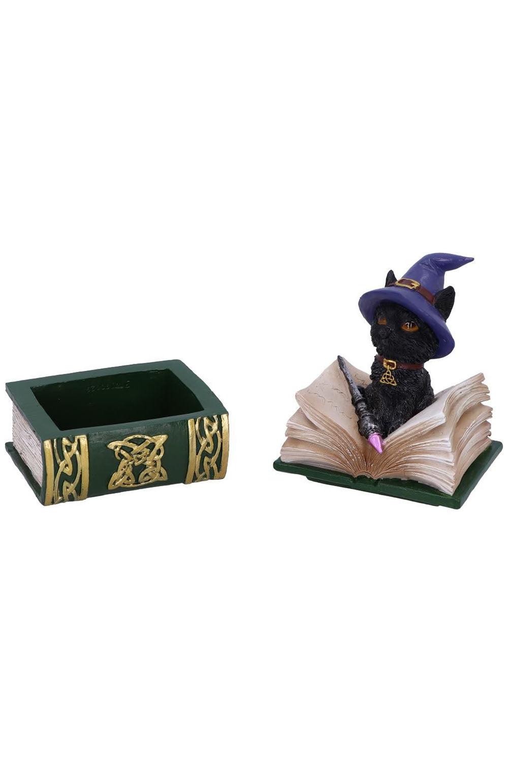 Binx Witchy Black Cat with Spellbook Trinket Box