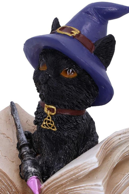 Binx Witchy Black Cat with Spellbook Trinket Box