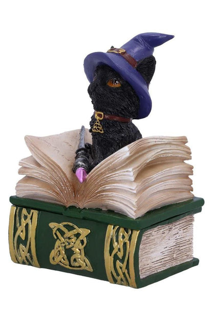 Binx Witchy Black Cat with Spellbook Trinket Box