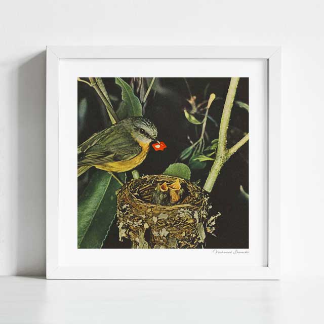 Birdie Likes art print framed view — surreal collage of bird and chicks with social media like symbol, quirky humorous nature wall art for living rooms and gallery walls