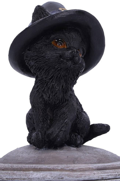 Black Cat Cauldron Box
