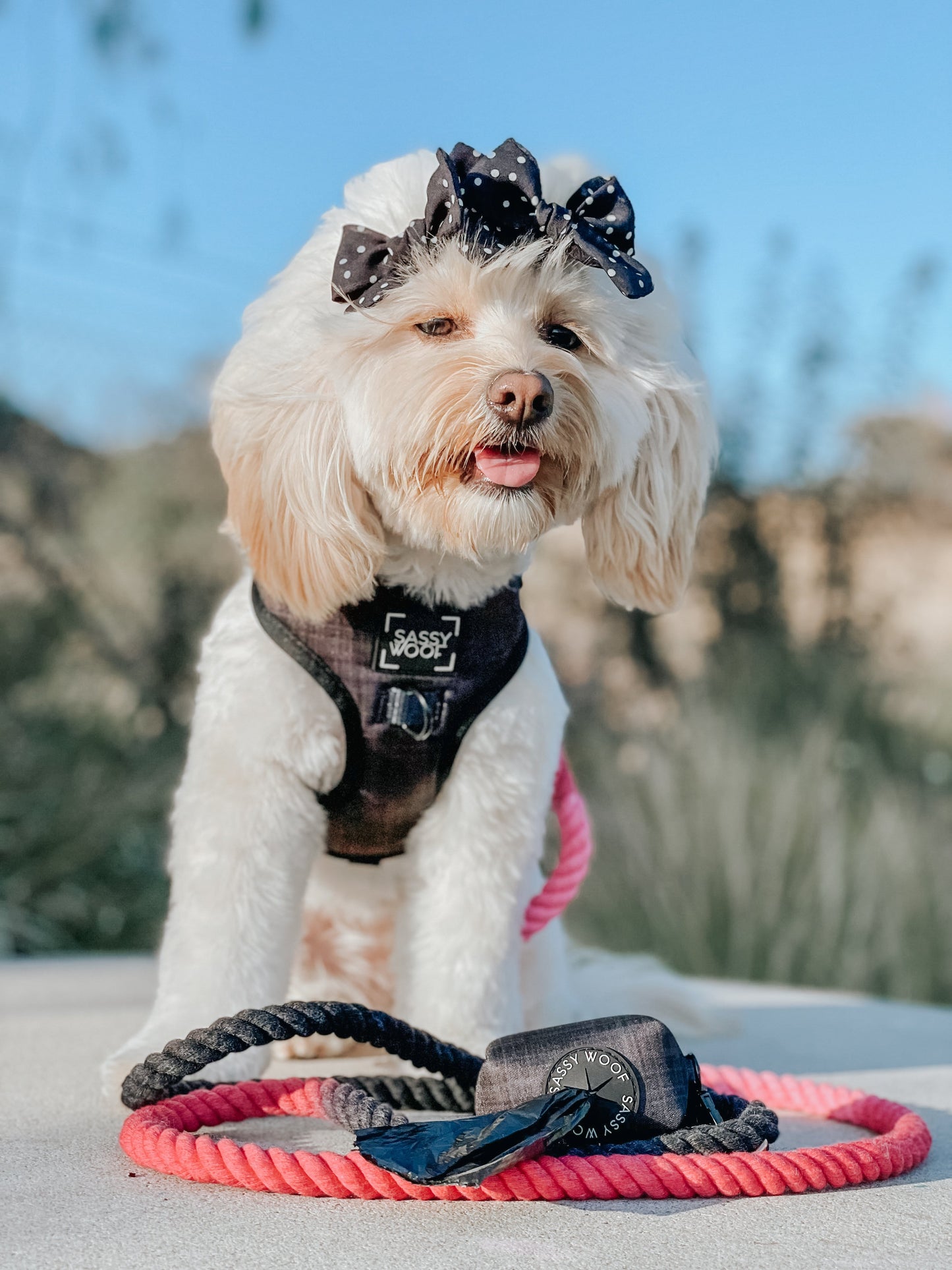 Dog Waste Bag Holder - Baby Got Black