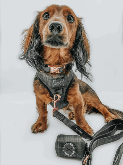 Dog Waste Bag Holder - Baby Got Black