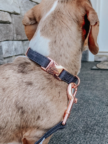 Dog Collar Three Piece Bundle - Baby Got Black