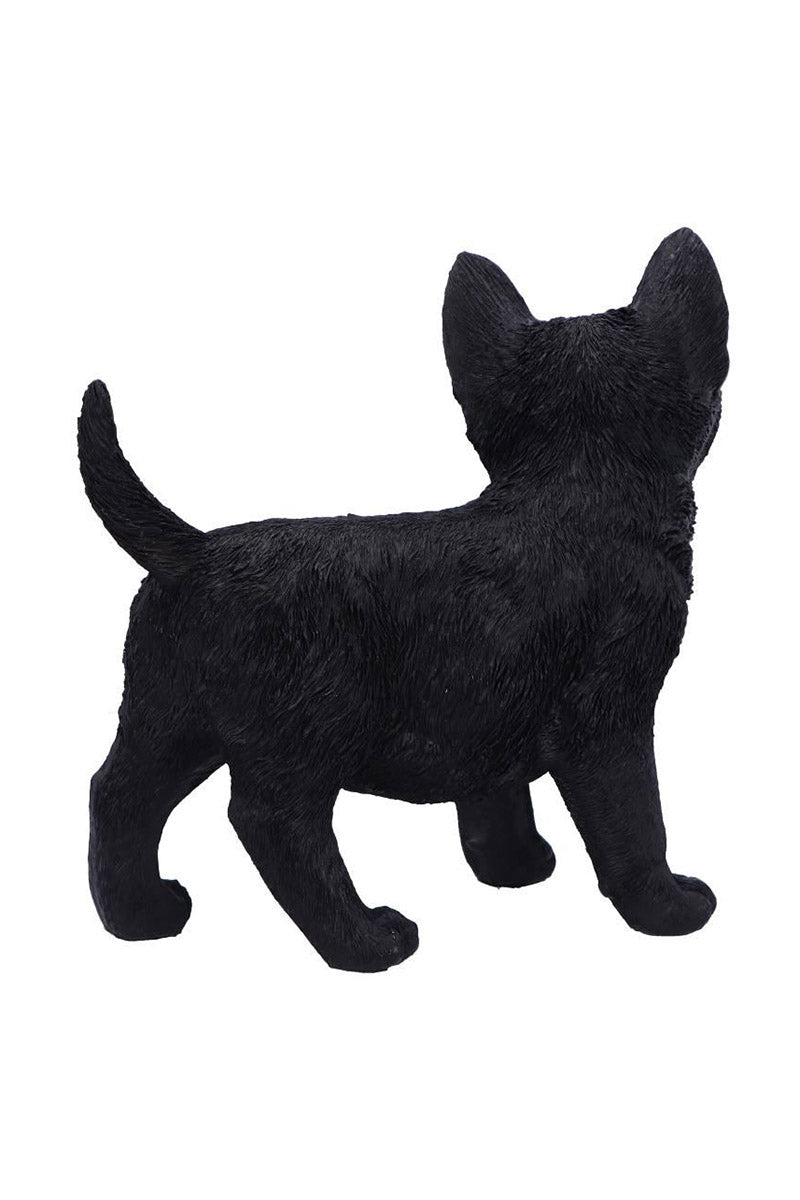 Charmed Companion