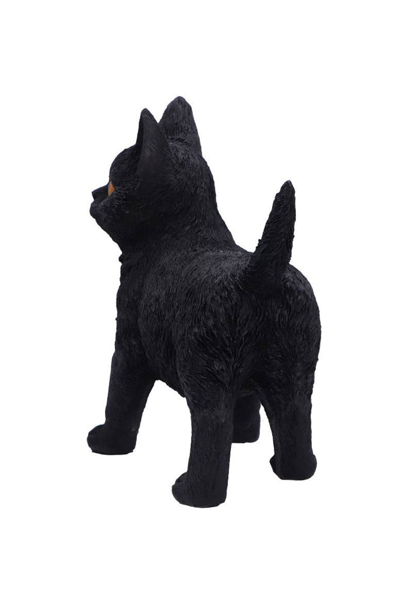 Charmed Companion